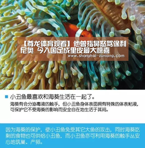 【尊龙体育观看】他曾指鼻怒骂保利尼奥 今入国足成里皮最大惊喜(图2) 尊龙体育直播