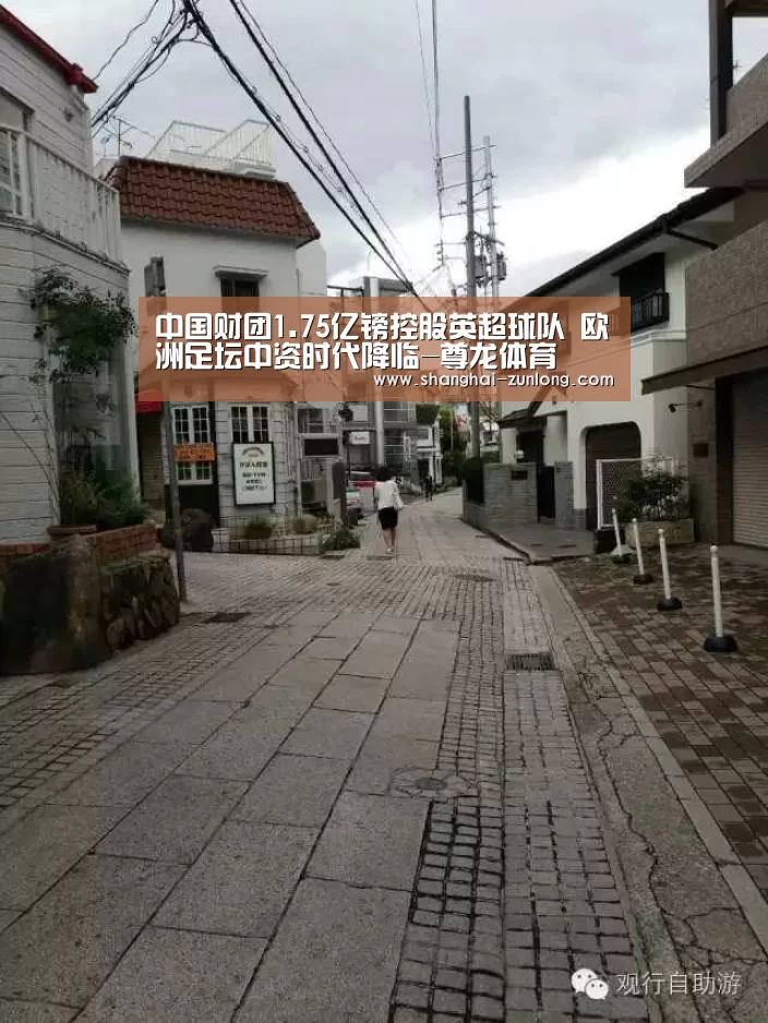 中国财团1.75亿镑控股英超球队 欧洲足坛中资时代降临-尊龙体育(图2) 尊龙体育赛事